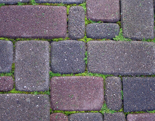 paving stone background with moss