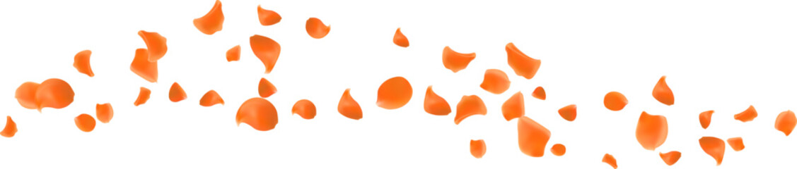 Beautiful orange rose petals isolated flying element decoration season background