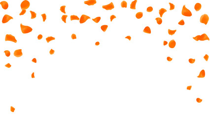 Romantic event background with realistic orange rose petals floating motion vector. floral wedding invitation