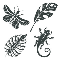 Fototapeta premium Set of black silhouettes of leaves & butterfly vector.