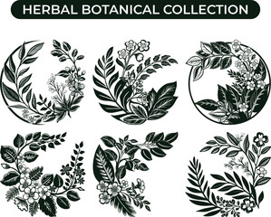 Herbal Botanical Vector Set | Medicinal Plants, Healing Herbs, and Organic Leaves Illustration Pack