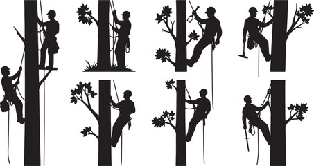 Silhouette tree climber with rope and equipment on white background, tree climber, silhouette, arborist, climbing, rope, harness, helmet, safety, equipment, tree, branch, nature, outdoor, activity, wo