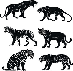 zebra vector illustration