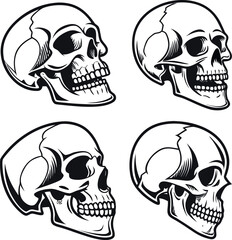 skull and crossbones