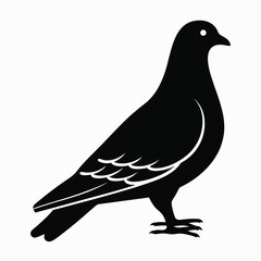 Black Silhouette of a Pigeon Bird with White Details