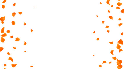 Orange realistic rose petals decorative banner for opening, holiday, birthday and celebration on a transparent background