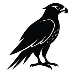 Fototapeta premium Majestic falcon silhouette in flight isolated on white background