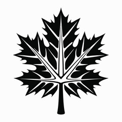 Stylized Black Maple Leaf Graphic on White Background