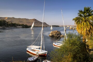 Felucca traditional wooden sailboats sailing the Nile River around Elephantine Island, Aswan, Aswan...