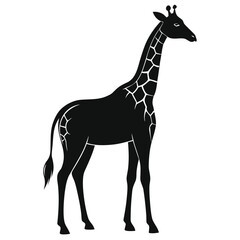 Elegant giraffe silhouette in black isolated on a clean white background for versatile design use isolated on white background