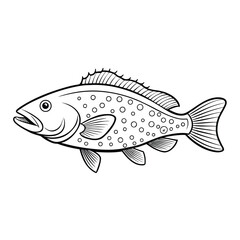 Stylized grouper fish outline illustration isolated on white background
