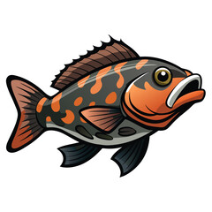 Vibrant grouper fish illustration isolated on white background for aquatic design