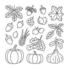 Seamless Autumn Line Art Pattern Featuring Leaves, Acorns, Pumpkins, Berries, and Gourds for Fall-Themed Vector Designs, Coloring book