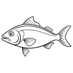 Detailed outline illustration of a halibut fish in a clean isolated on white background presentation
