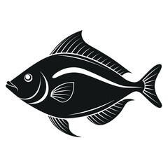 Detailed halibut fish silhouette vector illustration isolated on white background