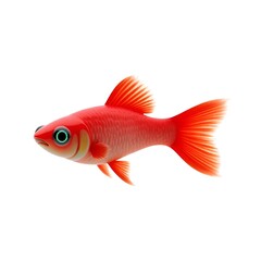 Fototapeta premium Red Guppy Fish Isolated on White Background, Vibrant Tropical Aquarium Fish Illustration