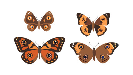 Four stylized butterflies with eye spot patterns on a black background