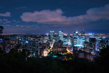 Fototapeta premium Night cityscape view of a large metropolis. City lights illuminate skyscrapers and lower buildings. A hazy, cloudy night sky. Trees are visible on the lower edge of the image