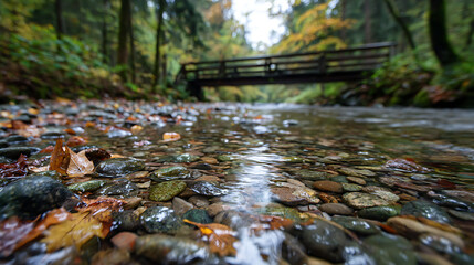 Forest stream with wooden bridge and fallen leaves water rocks