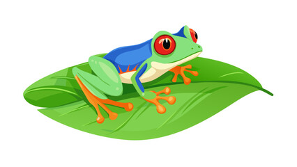 Vibrant red eyed tree frog perched gracefully on a lush green leaf