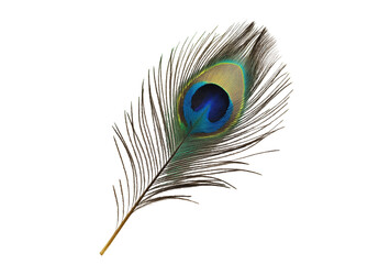 Majestic Peacock Feather Isolated on Transparent Background
