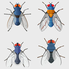 Fly collection, vector illustration. 