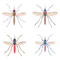 Mosquito collection, vector illustration. 