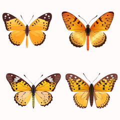 Butterfly collection, vector illustration.