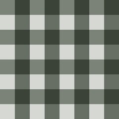 	
green gingham fabric
