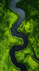 Fototapeta premium Winding dark river through vibrant green landscape aerial drone