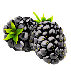 Juicy ripe blackberry cluster on thorny vine, glistening morning dew
