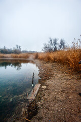 a calm lake with dry reeds covered with thick morning fog