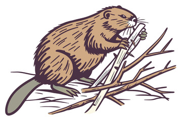 vector illustration of a Beaver