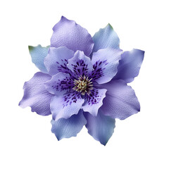 Beautiful purple flower with intricate petals showcasing vibrant details in natural colors