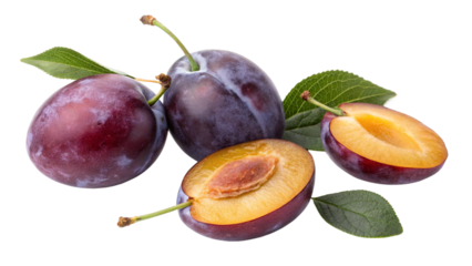 Sweet nutritious plums fruits isolated on white or transparent background