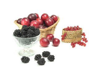 Berries plums, blackberries, currants, in assortment on a white background.