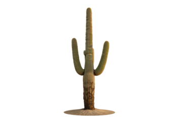 Desert Saguaro Cactus Sunset Background,  Game Asset