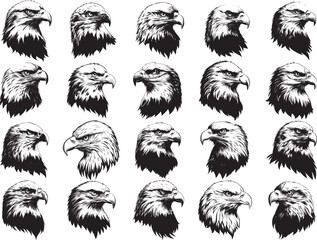 Eagle Svg Bundle