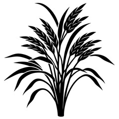 A black and white illustration of a stalk of wheat with leaves
