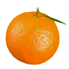 Vibrant ripe orange, citrus scent, textured peel, juicy sweet segments