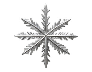 Silver Snowflake Ornament with Transparent Background