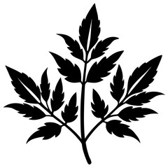 A black and white illustration of a plant stem with multiple leaves, isolated on a white background