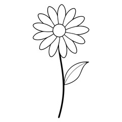 Fototapeta premium daisy flower isolated on white background