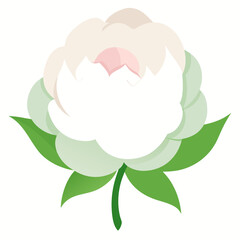 vector illustration of a flower