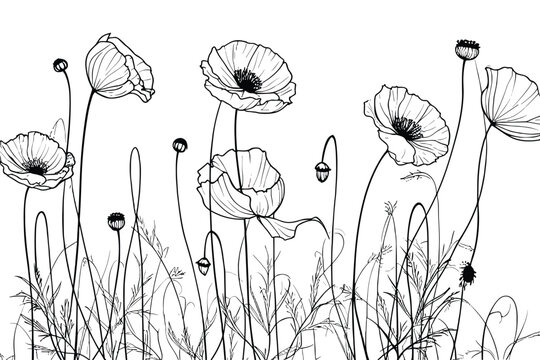 Flower tattoo line art design element vector and illustration