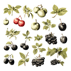 Fruit and berries set with leaves and branch: apple, pear, cherry, grape, lemon, citrus, strawberry, hand drawn ink outline sketch doodle icon collection, vintage design for coloring book page 