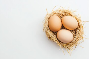 Three fresh brown eggs resting in a straw nest ring, isolated on white background with clean rustic lighting and cozy farmcore kitchen aesthetic