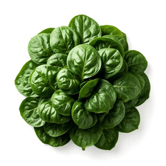 Obraz premium A top-down view of a circular arrangement of fresh healthy baby spinach leaves showcasing their rich green color and delicate texture