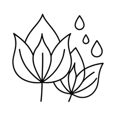 Frog Sitting on American Lotus Leaf