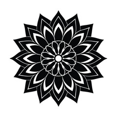 Microscope View of Trillium Pollen